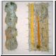 Lichen42.JPG